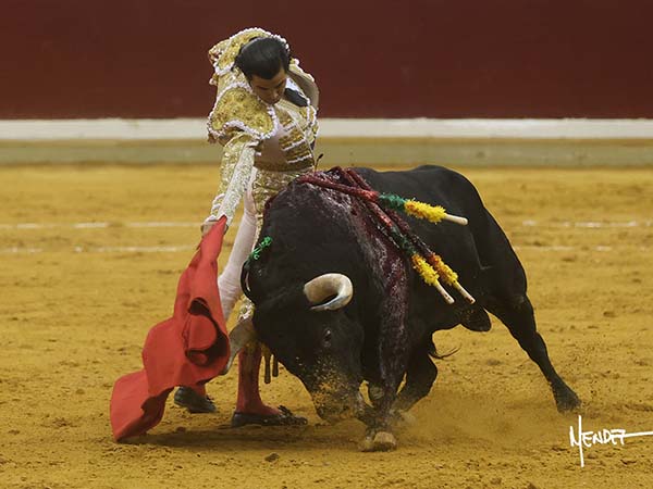 Ce�idos pases