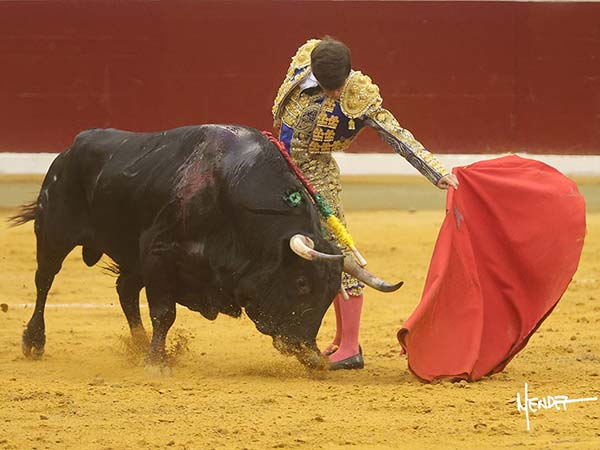 Tirando del negro