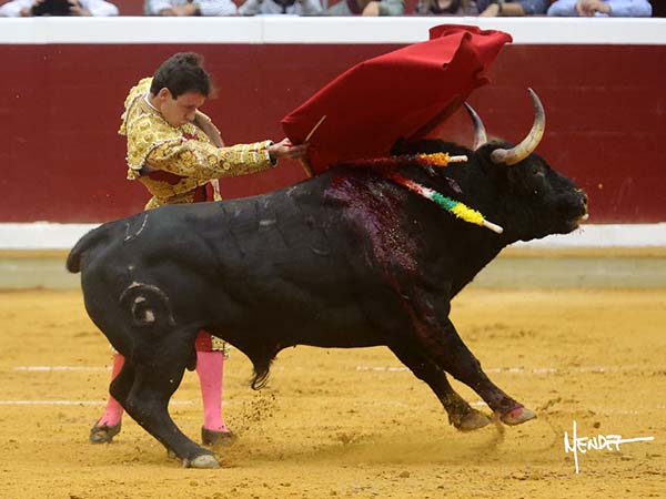 De pit�n a rabo
