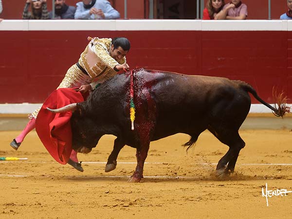 Partido en dos