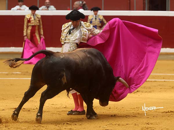 Por saltilleras