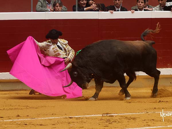 Diego, primer espada