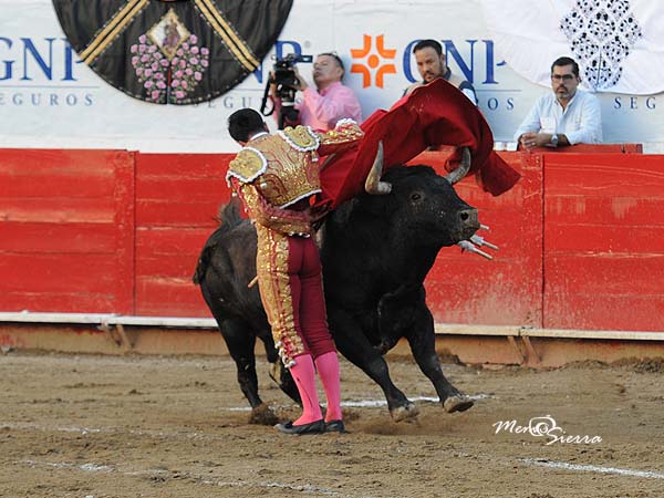 Etapa final de la faena