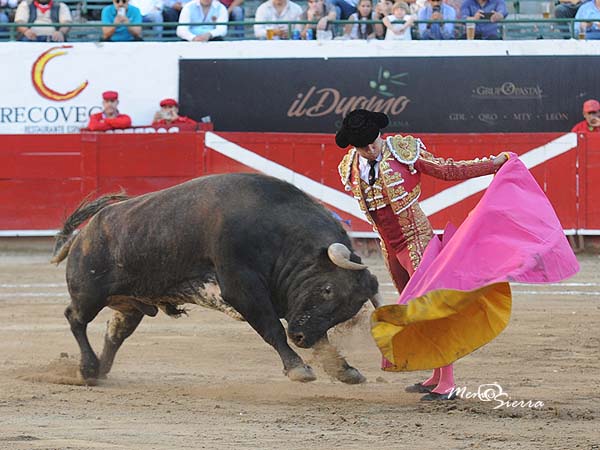 Las gaoneras de Romn