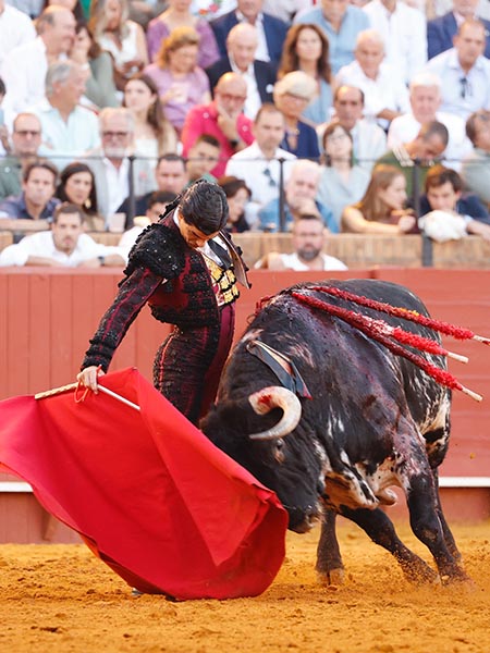 Bueno por el derecho