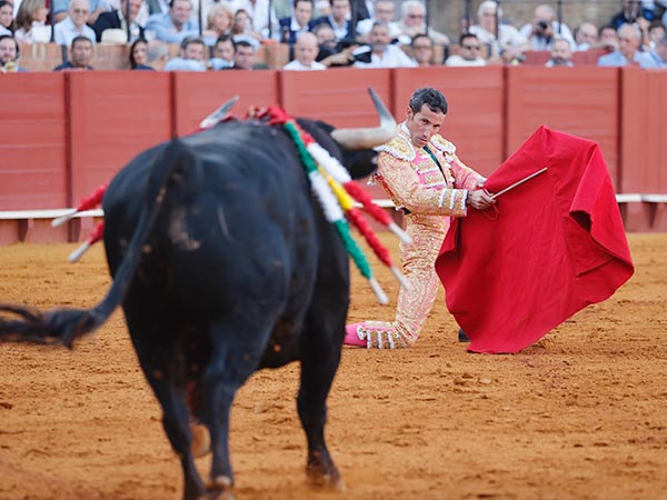 Cite, rodilla en tierra