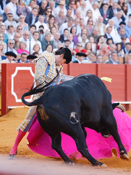 La barbilla en el pecho