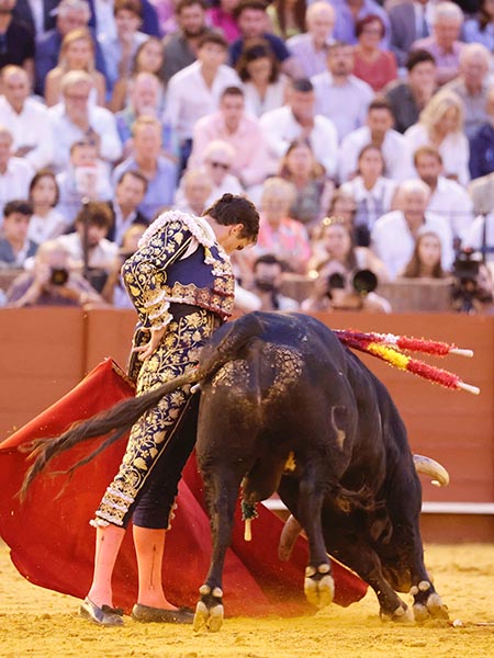 Llev�ndolo toreado