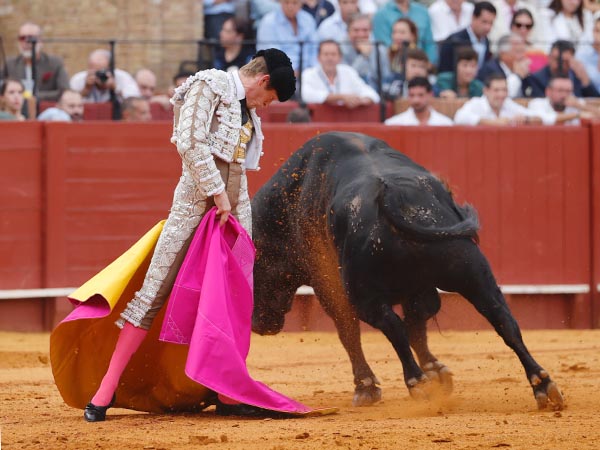 Abrochando el saludo