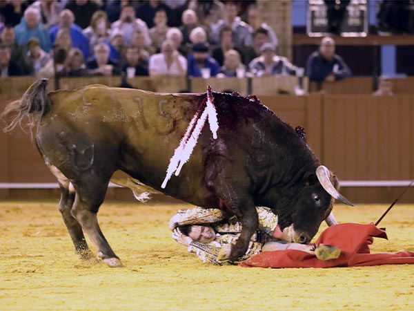 A merced del casta�o