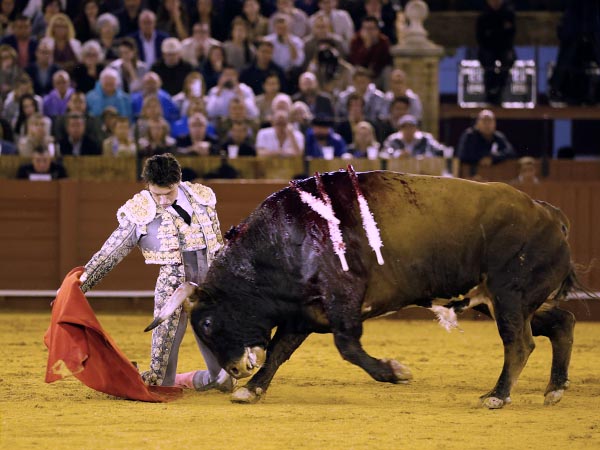 De hinojos en los medios