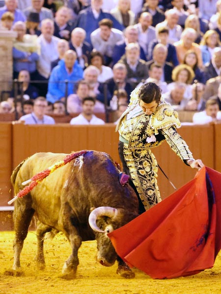 La izquierda del genio