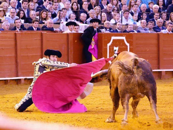 Emoci�n en el recibo