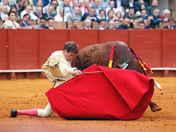 Pr�logo rodilla en tierra