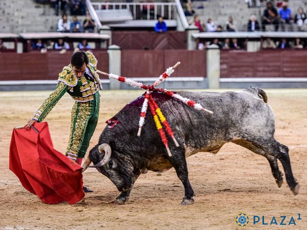 FIrme ante el c�rdeno