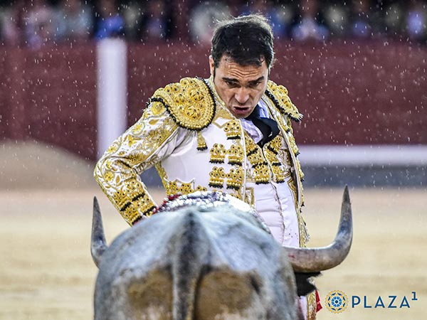 Faena bajo la llovizna