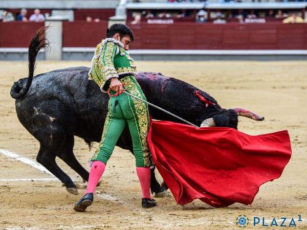 Adornos con la izquierda