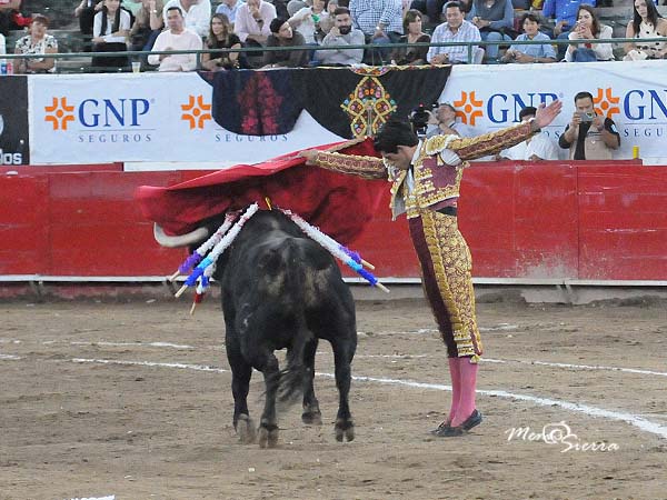 Variedad en su muleta