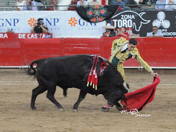 Metido en la canasta