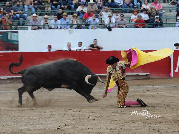 Actitud de triunfo grande