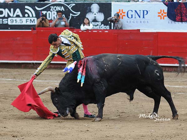 Dominio de las alturas