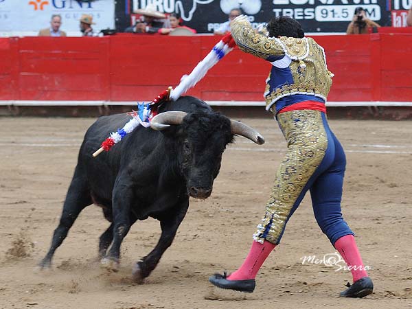 Entregado en los tres tercios