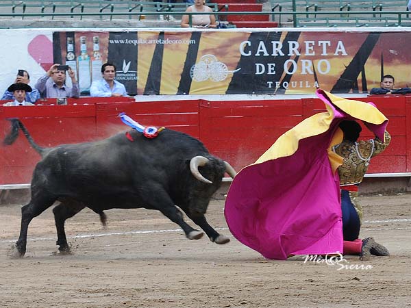 El Sevillano, primer espada