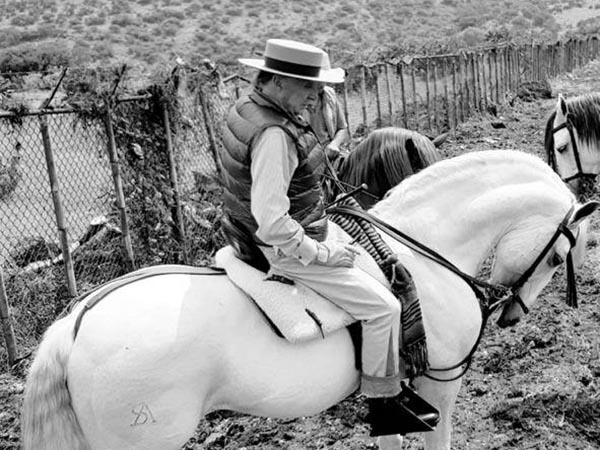 Las colindancias del potrero