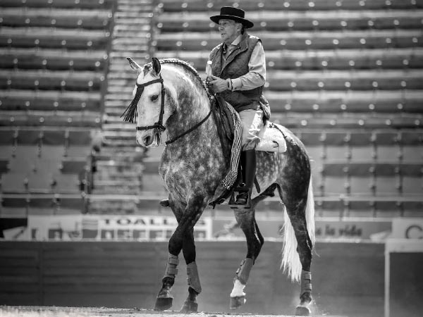 Reconociendo terreno en La Mxico