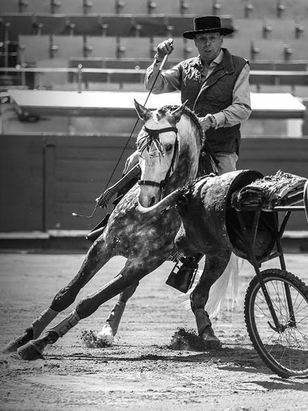 La prctica hizo al maestro