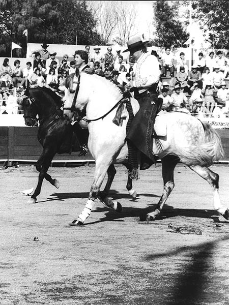 Alternando con las figuras