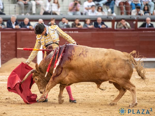 Templando al melocotn