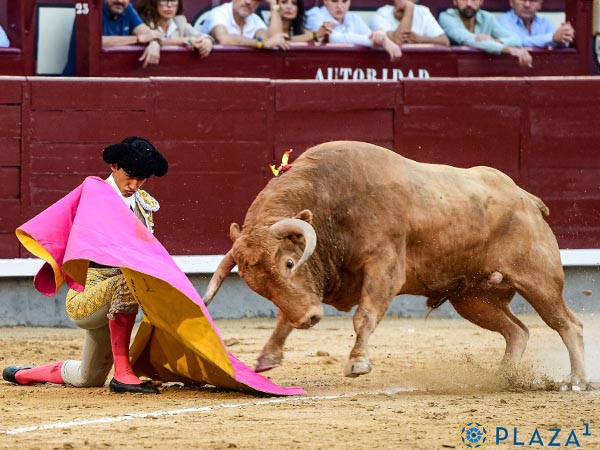 Vistosa variedad de capote