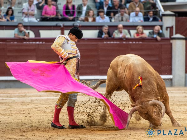 Revolera en los medios