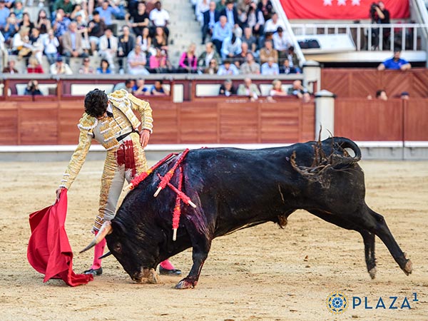 Dominio de las alturas