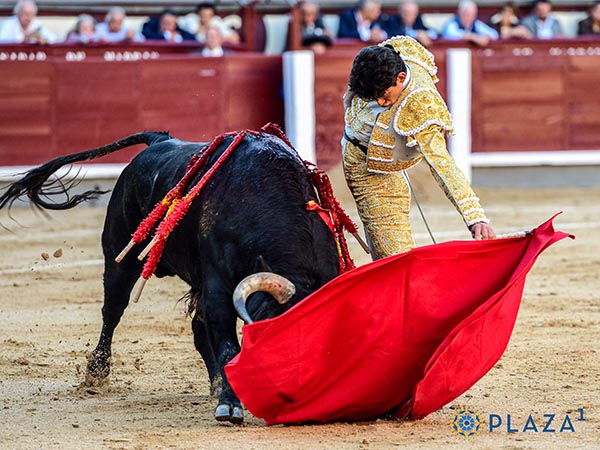 Entonado con el negro