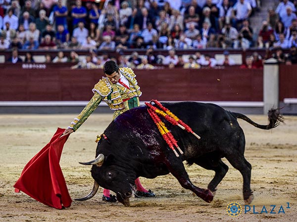 Faena de altos vuelos