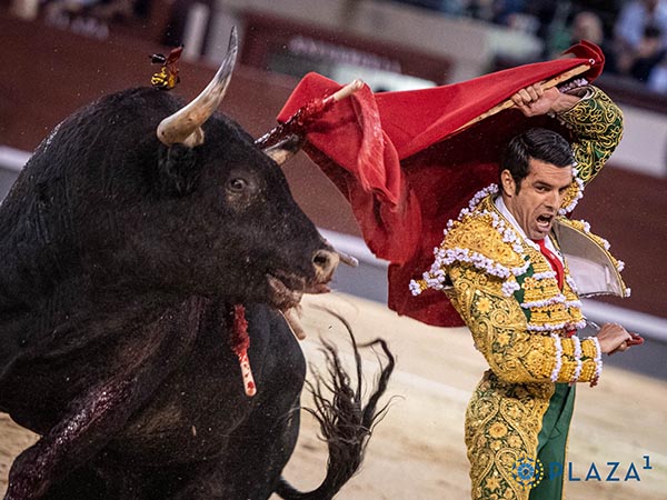 Arrestos para enfrentar a 