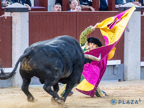 Regres de la enfermera a triunfar