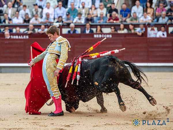 Cambiado por la espalda