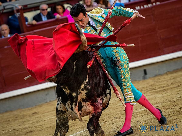 Sentimiento y enjundia