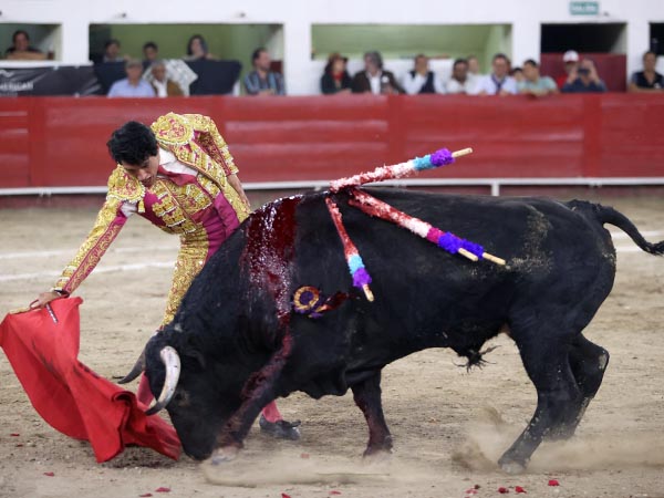 Los belfos en la arena