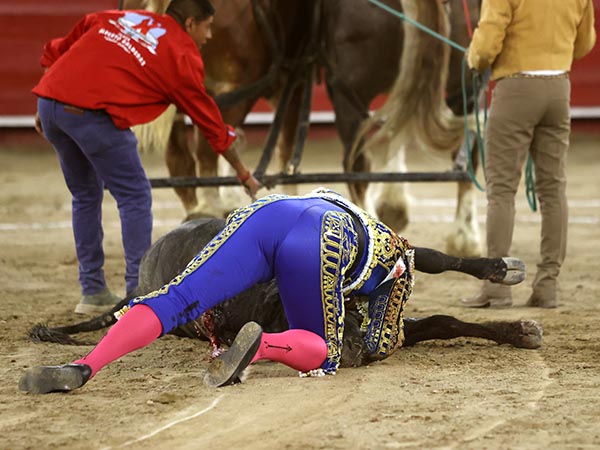 Agradecido con su bravura