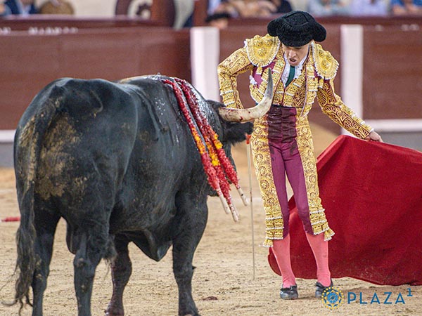 Sin opciones esta tarde en Las Ventas