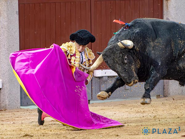 Detalles pintureros de Jarocho
