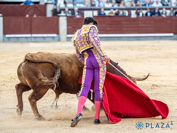 Adornos con la izquierda