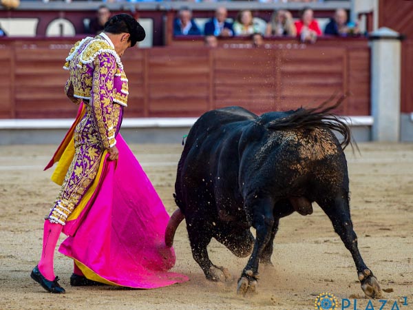Lances en el centro del albero