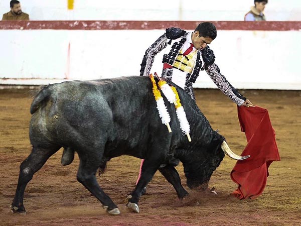 Naturales con sentimiento