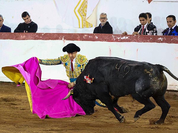 Lances rodilla en tierra