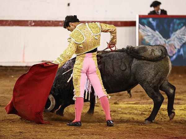 Naturales tersos, sentidos